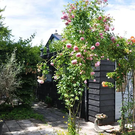 Casa vacanze Alluring Bungalow In With Garden Castricum