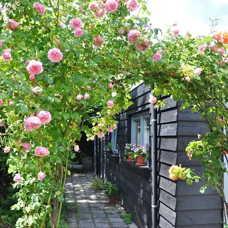 Alluring Bungalow In With Garden *