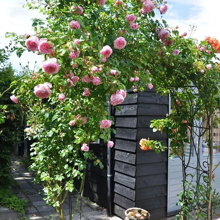 Alluring Bungalow In With Garden Casa vacanze Castricum